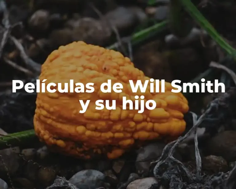 Películas de Will Smith y su hijo