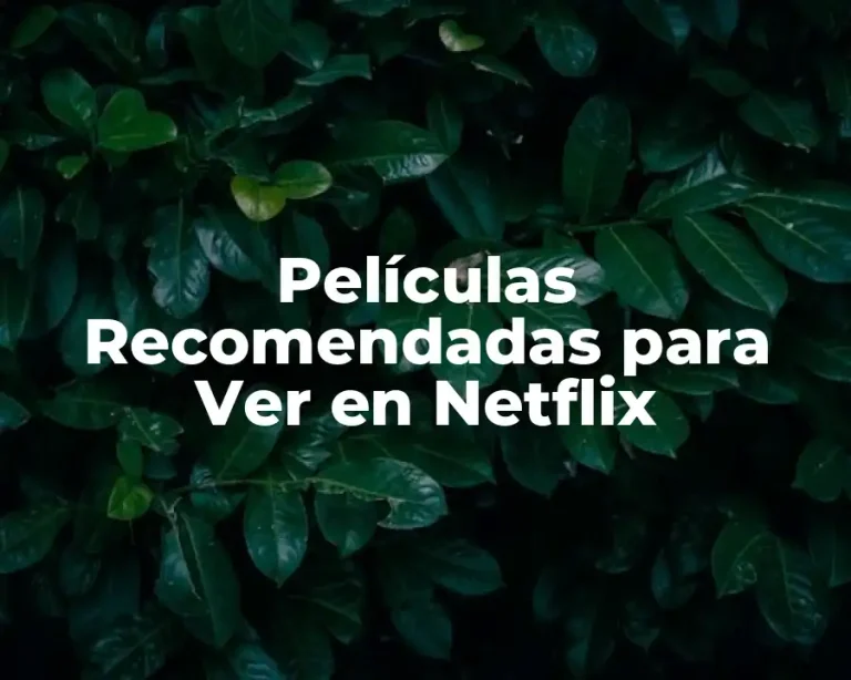 Películas Recomendadas para Ver en Netflix