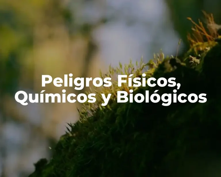 Peligros Físicos, Químicos y Biológicos