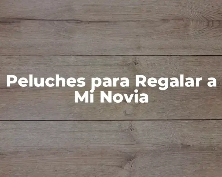 Peluches para Regalar a Mi Novia