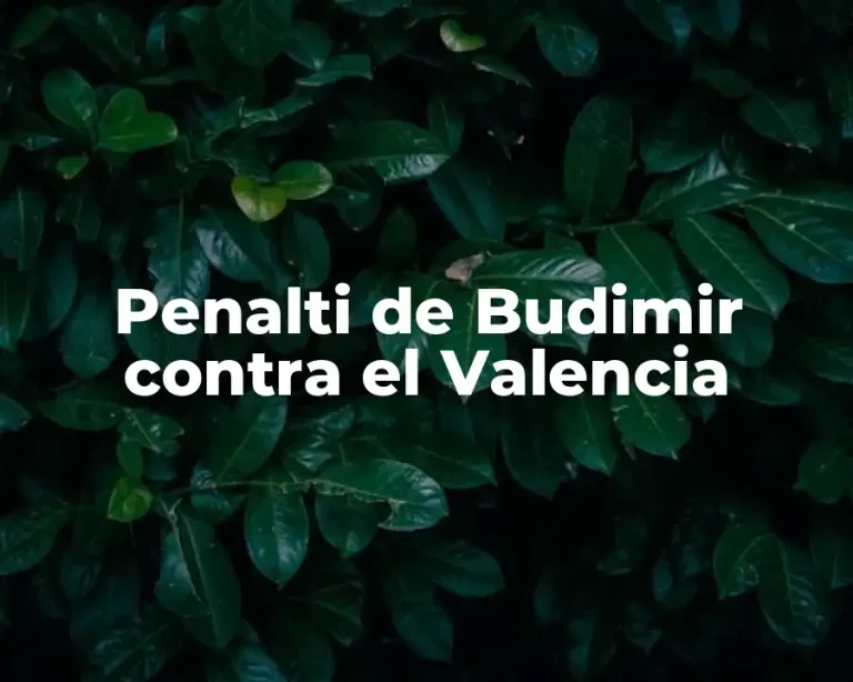 Penalti de Budimir contra el Valencia