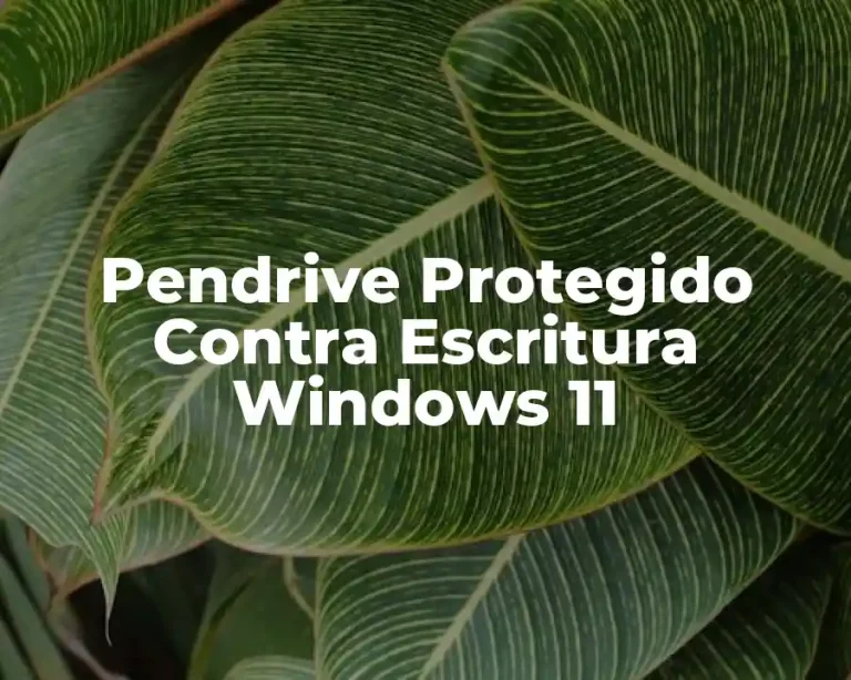 Pendrive Protegido Contra Escritura Windows 11