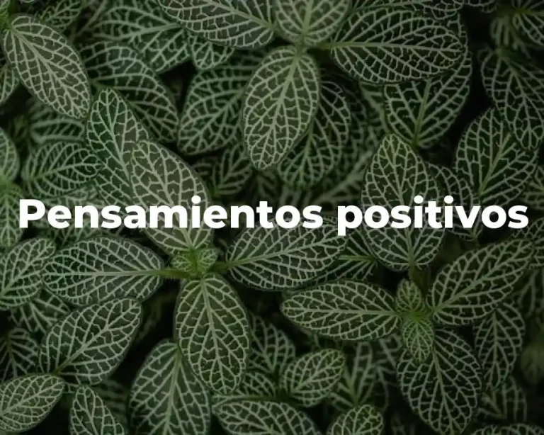 Pensamientos positivos