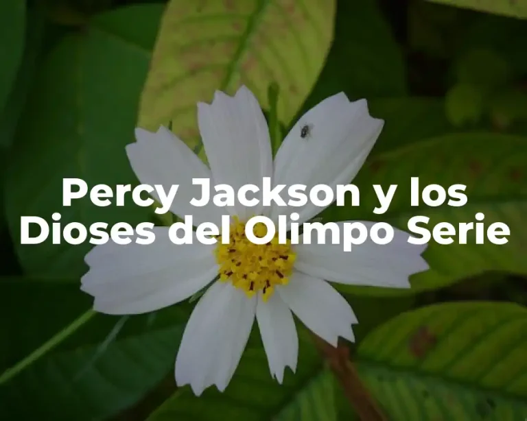 Percy Jackson y los Dioses del Olimpo Serie