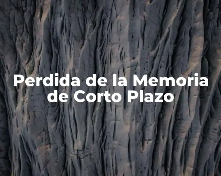 Perdida de la Memoria de Corto Plazo