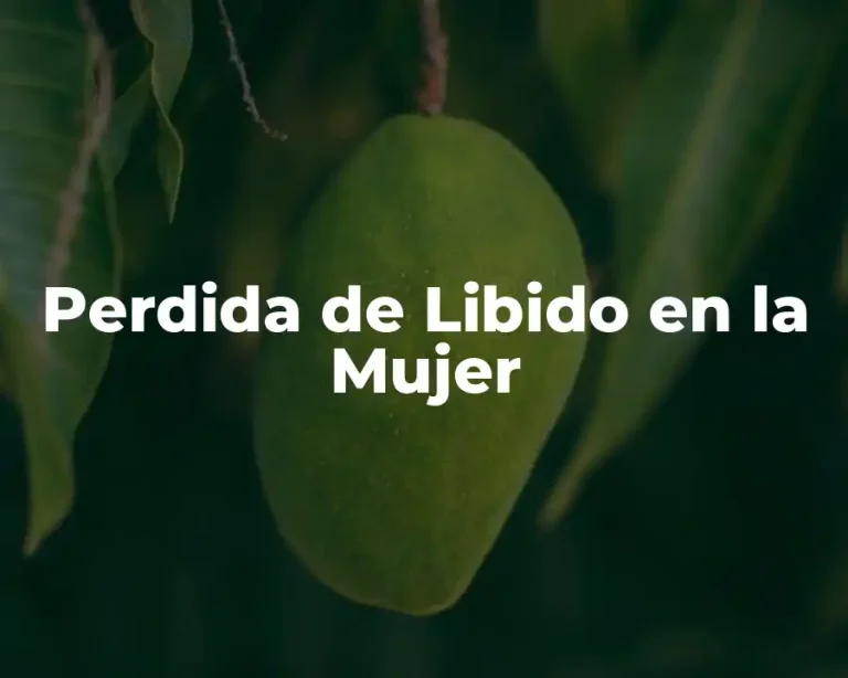 Perdida de Libido en la Mujer