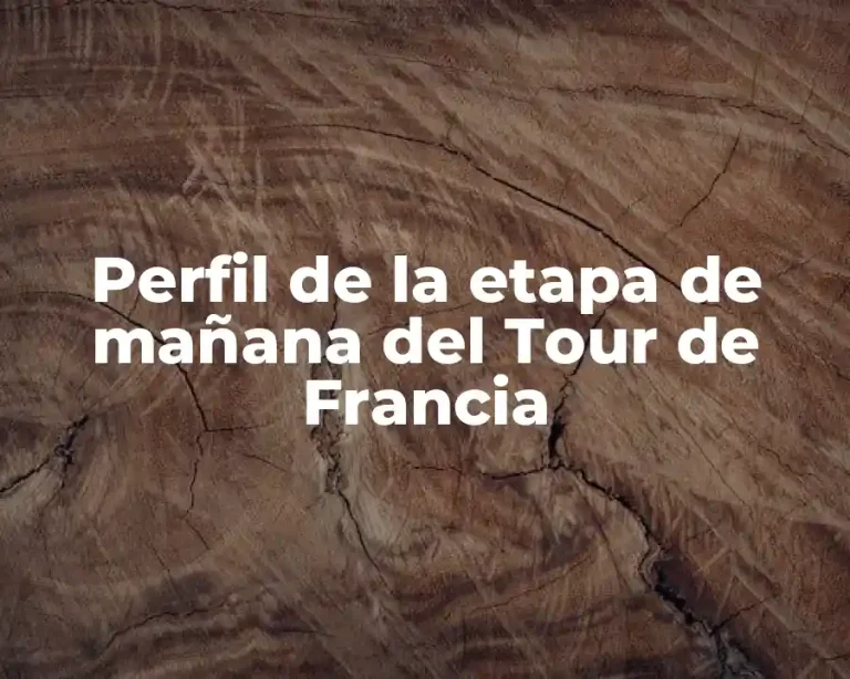 Perfil de la etapa de mañana del Tour de Francia