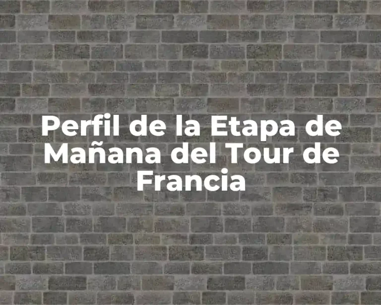 Perfil de la Etapa de Mañana del Tour de Francia
