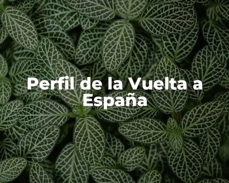 Perfil de la Vuelta a España
