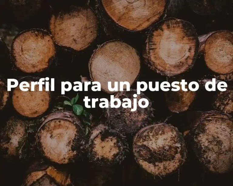 Perfil para un puesto de trabajo