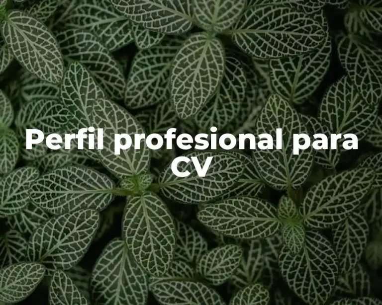 Perfil profesional para CV