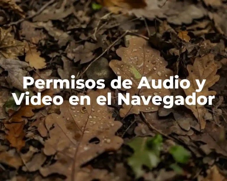 Permisos de Audio y Video en el Navegador