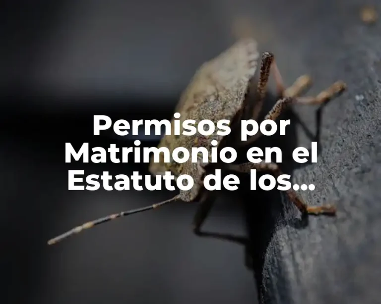 Permisos por Matrimonio en el Estatuto de los Trabajadores