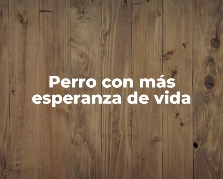 Perro con más esperanza de vida