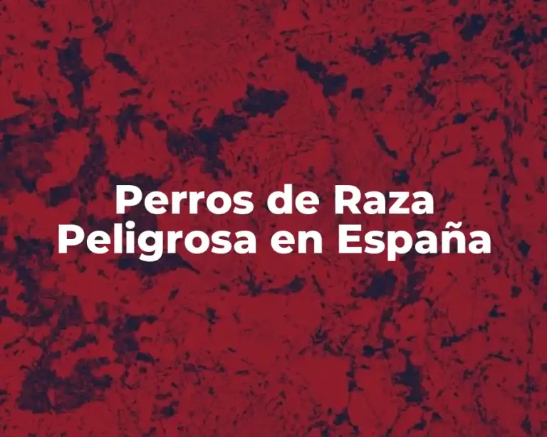 Perros de Raza Peligrosa en España