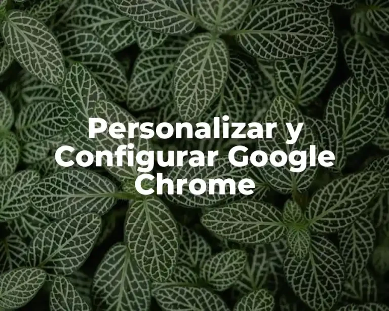 Personalizar y Configurar Google Chrome