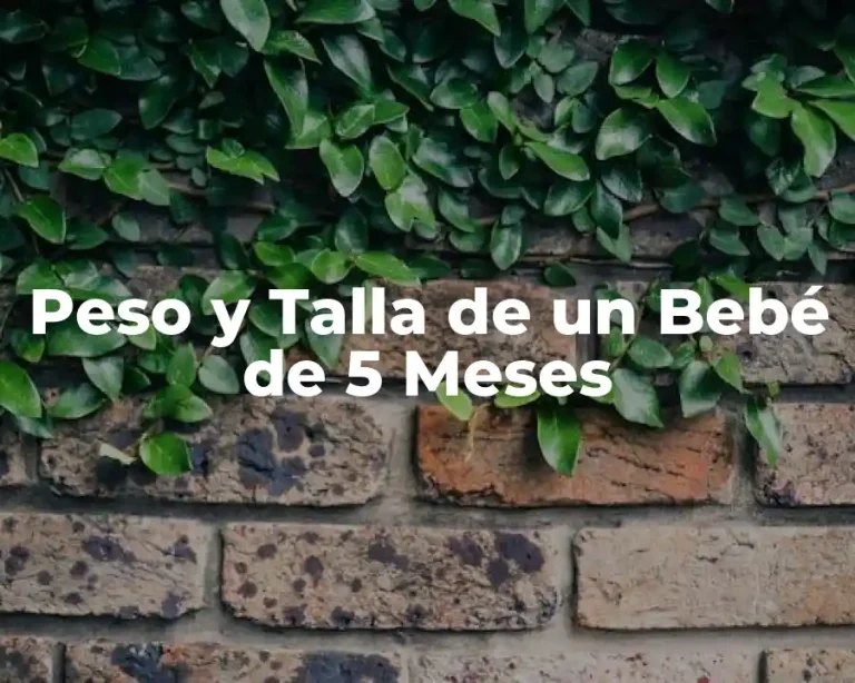Peso y Talla de un Bebé de 5 Meses