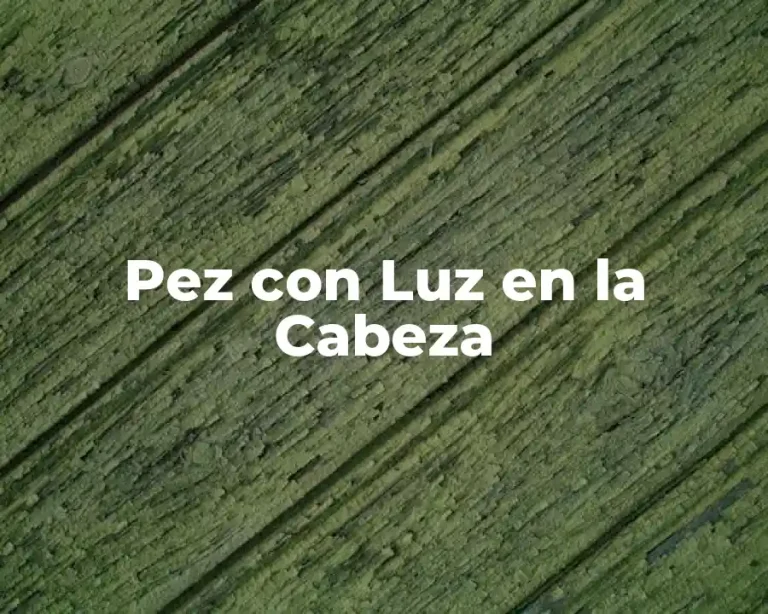 Pez con Luz en la Cabeza
