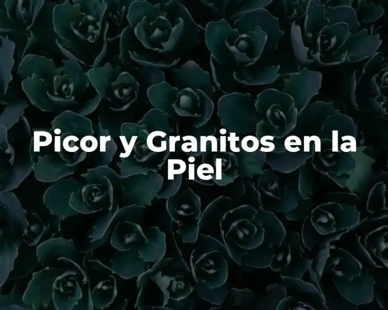 Picor y Granitos en la Piel