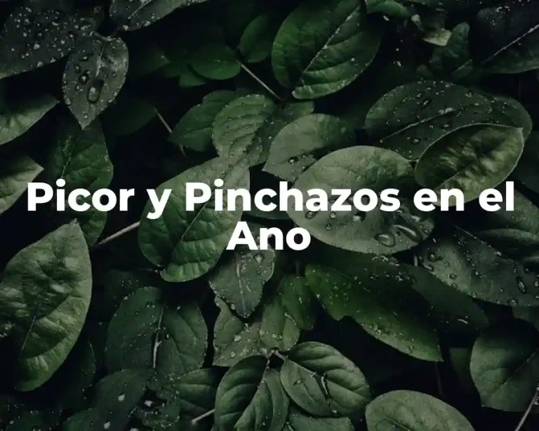 Picor y Pinchazos en el Ano