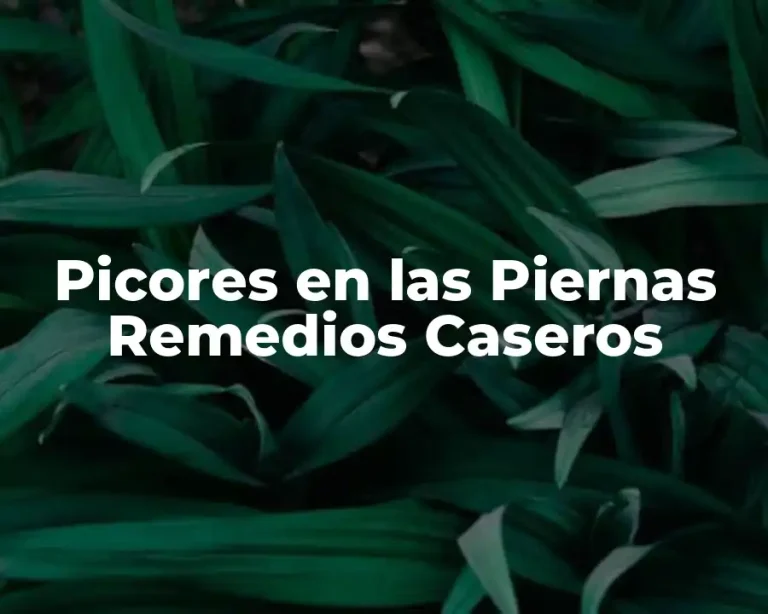 Picores en las Piernas Remedios Caseros