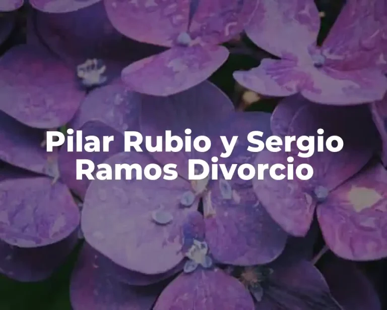 Pilar Rubio y Sergio Ramos Divorcio