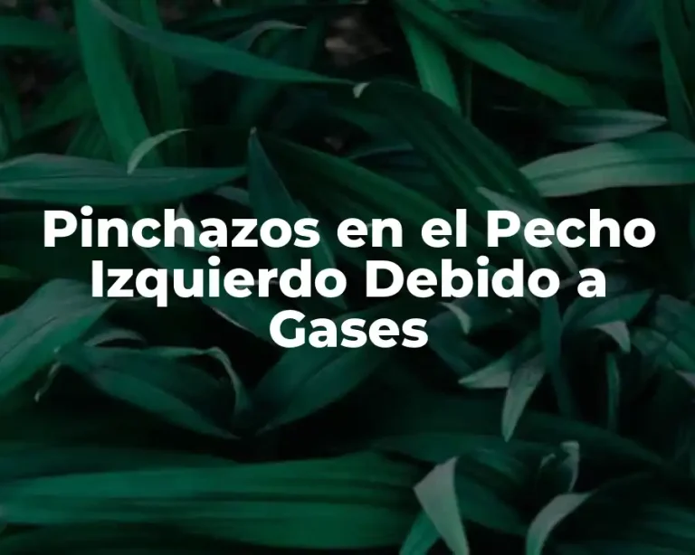 Pinchazos en el Pecho Izquierdo Debido a Gases
