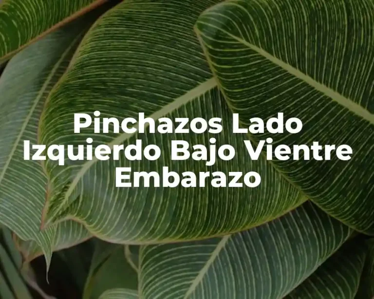 Pinchazos Lado Izquierdo Bajo Vientre Embarazo