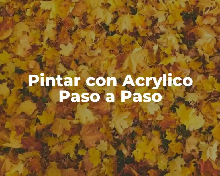 Pintar con Acrylico Paso a Paso