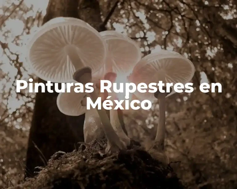 Pinturas Rupestres en México