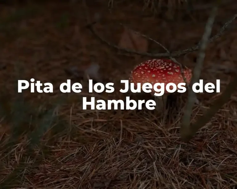 Pita de los Juegos del Hambre