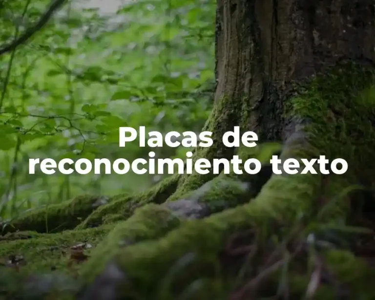 Placas de reconocimiento texto