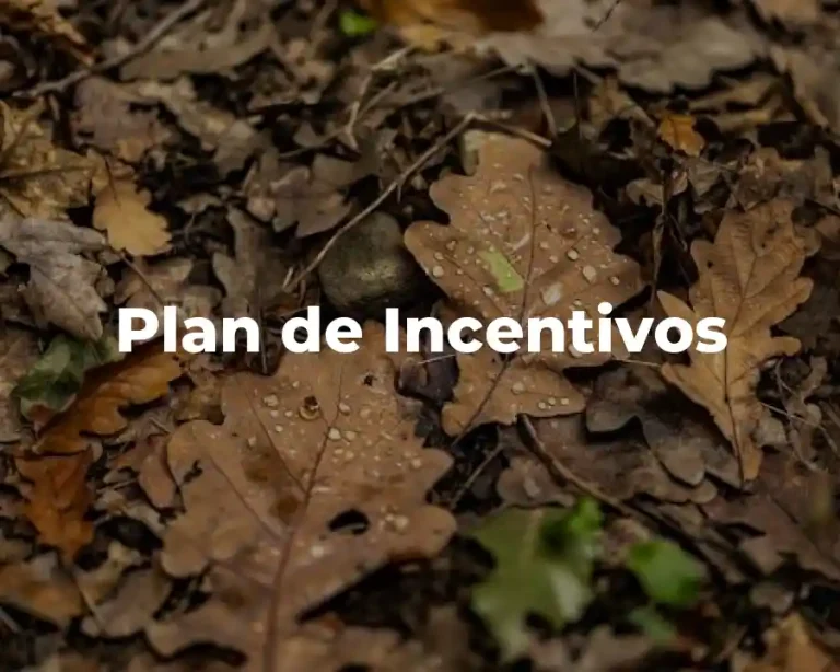 Plan de Incentivos