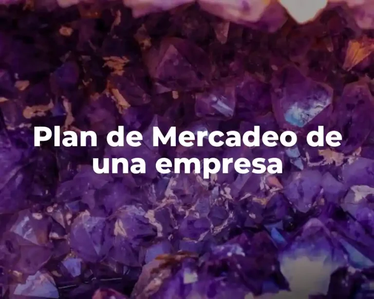 Plan de Mercadeo de una empresa