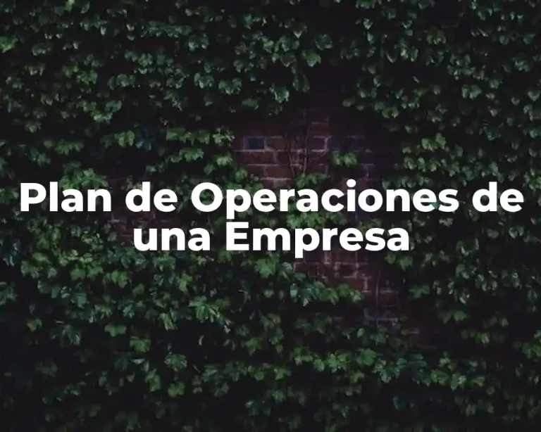 Plan de Operaciones de una Empresa