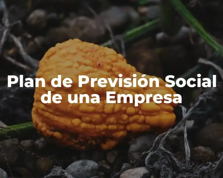 Plan de Previsión Social de una Empresa