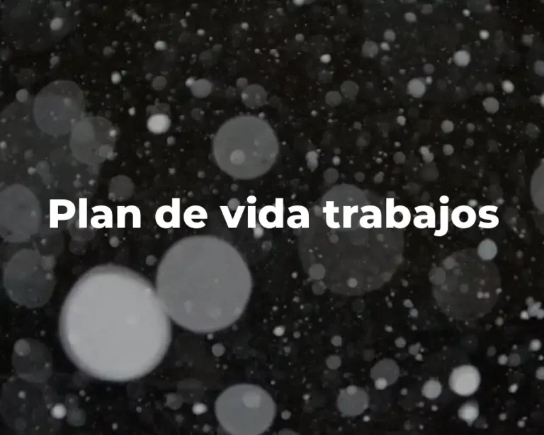 Plan de vida trabajos