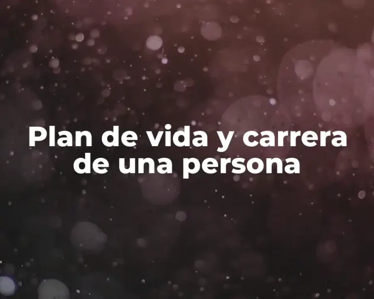 Plan de vida y carrera de una persona