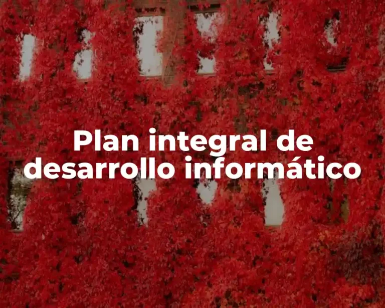 Plan integral de desarrollo informático