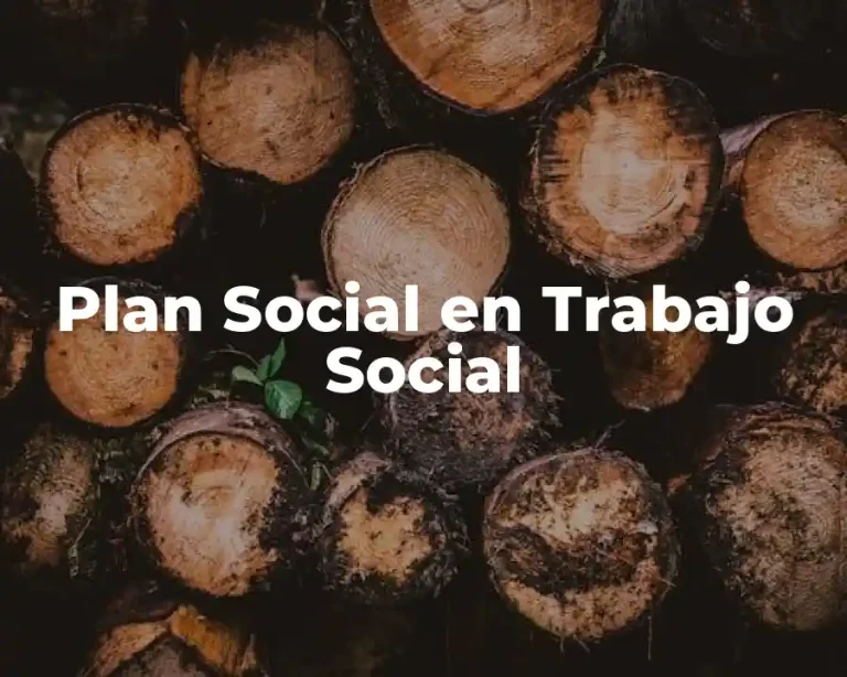 Plan Social en Trabajo Social