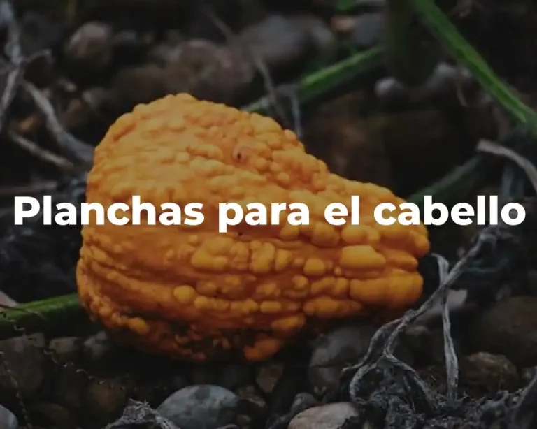 Planchas para el cabello