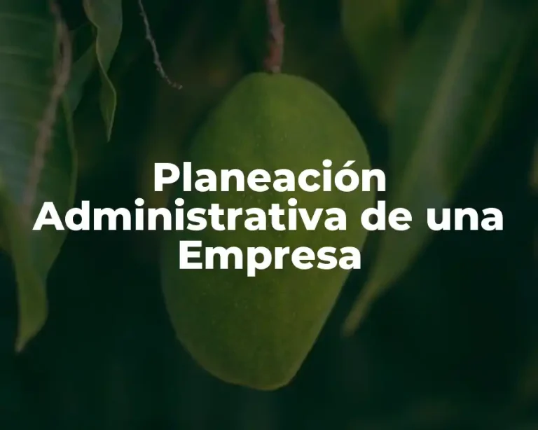 Planeación Administrativa de una Empresa