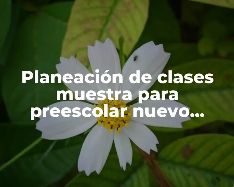 Planeación de clases muestra para preescolar nuevo modelo