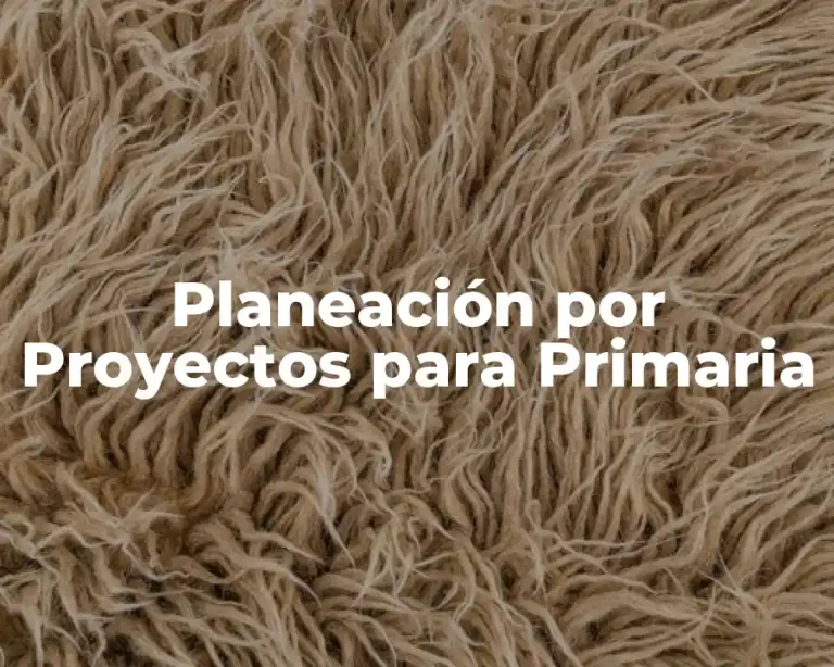 Planeación por Proyectos para Primaria