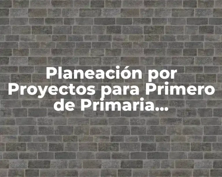 Planeación por Proyectos para Primero de Primaria Matemáticas