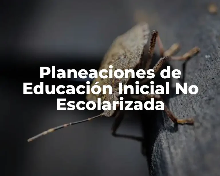 Planeaciones de Educación Inicial No Escolarizada