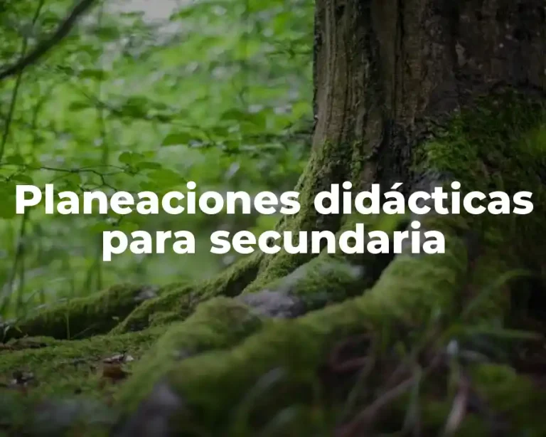 Planeaciones didácticas para secundaria