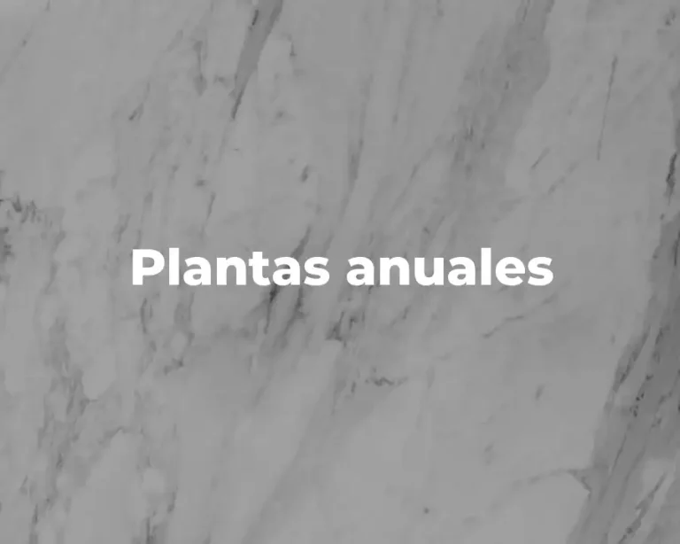 Plantas anuales