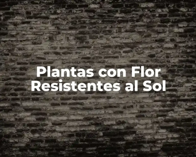 Plantas con Flor Resistentes al Sol