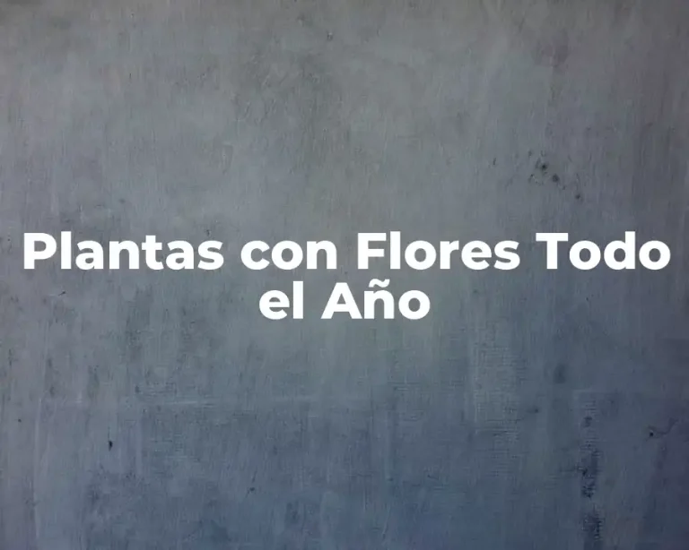 Plantas con Flores Todo el Año